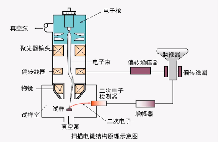 材料與器件檢測技術中心潘燕芳)掃描電子顯微鏡主要以下幾部分構成(圖