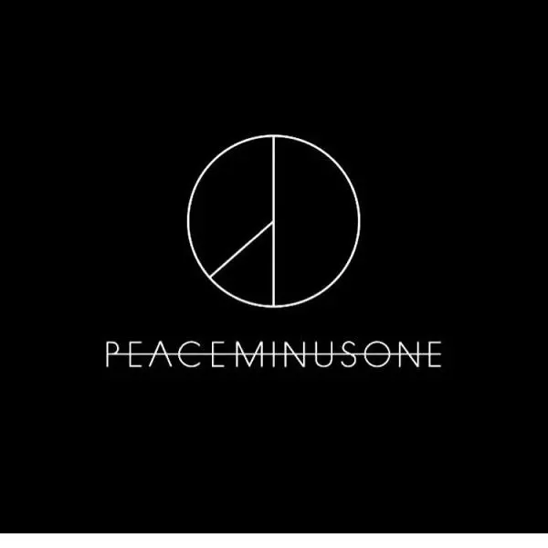 你对权志龙个人品牌PEACEMINUSONE的看法？