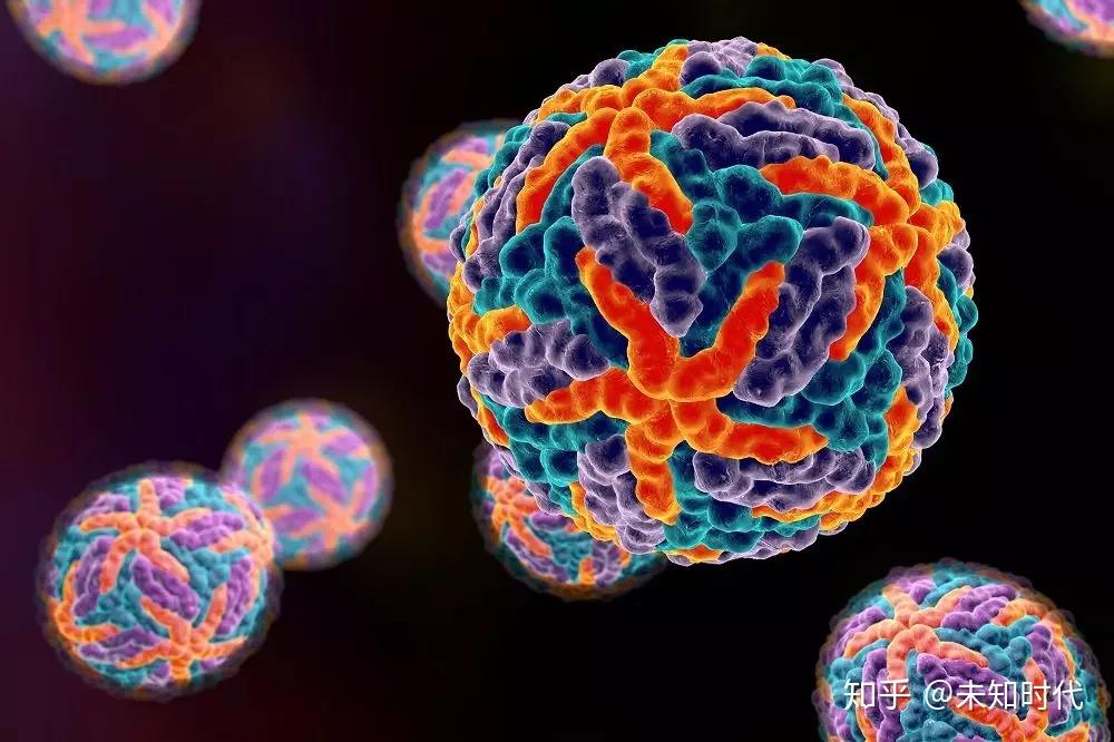 [3] 1789年 登革热(dengue fever)