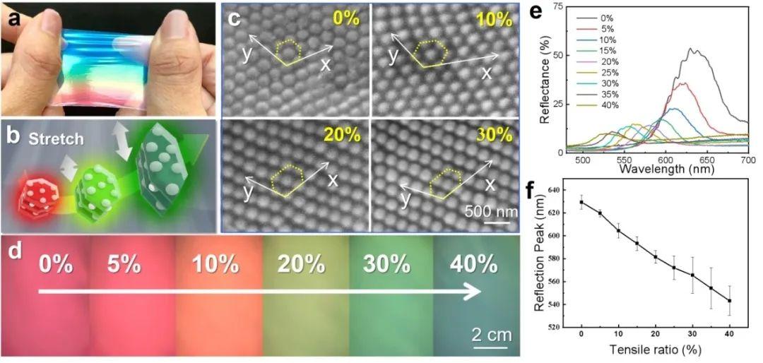 暨南大学李风煜教授团队《ACS Nano》:柔性光子晶体的弹性结构色研究 - 知乎