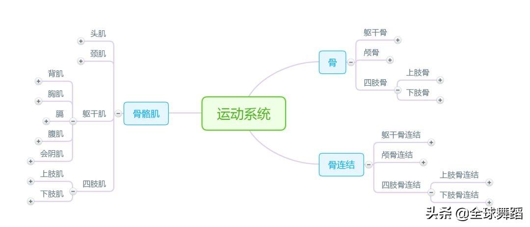 人體運動系統軀幹骨軀幹骨連接顱骨顱骨連接四肢骨四肢骨連接頸肌軀幹