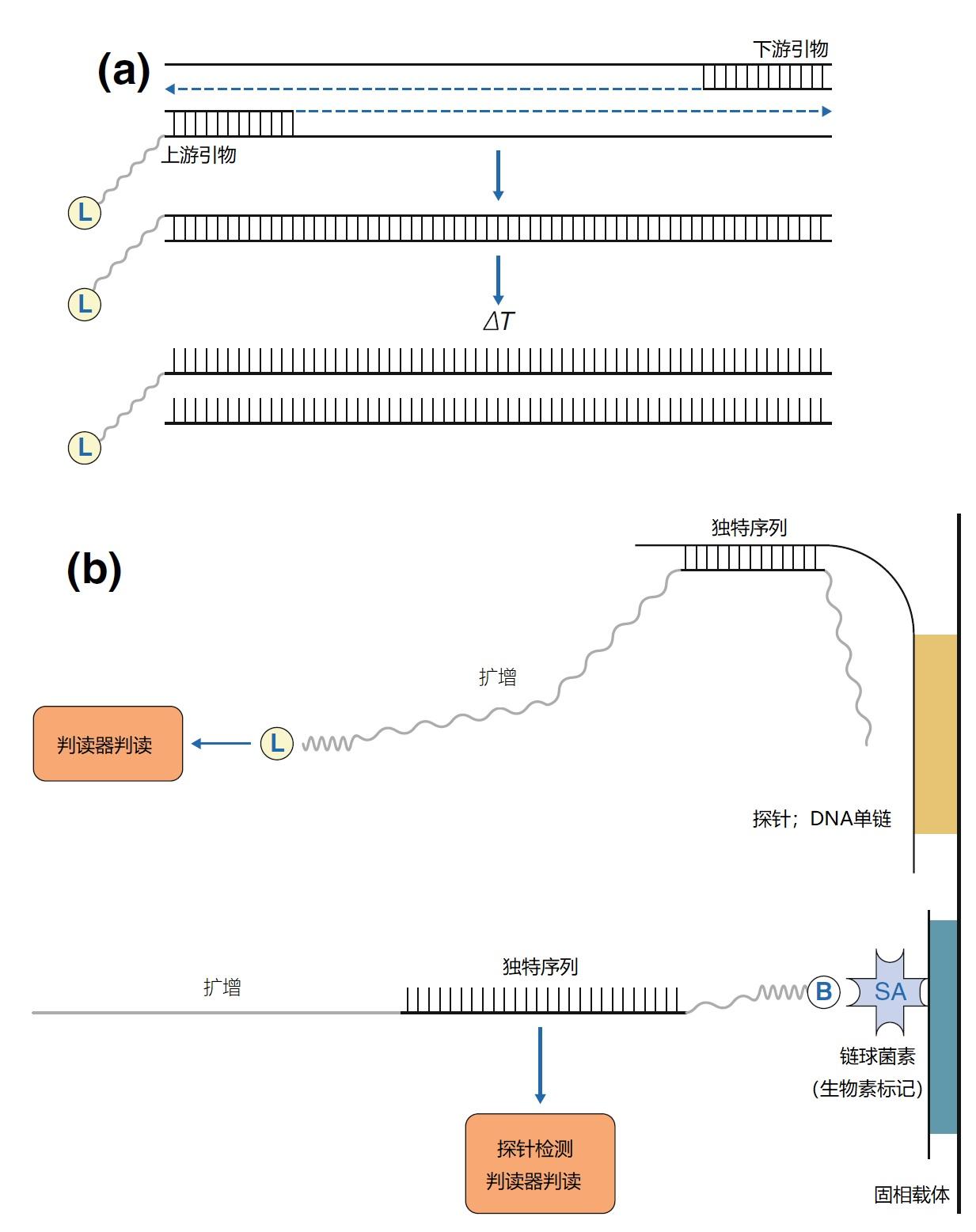 技术 | 探针的设计标准 - 知乎