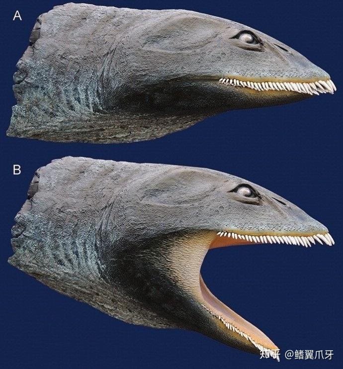 4.2极泳龙——内化于腹