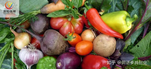 怎么卖菜 v2-2bc05a0d793ac0be096d3821d73f1b5f_r.jpg