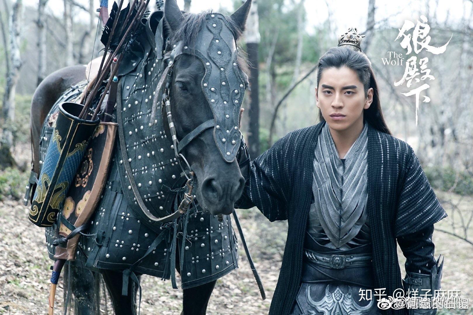 如何评价王大陆在电视剧狼殿下中的表现