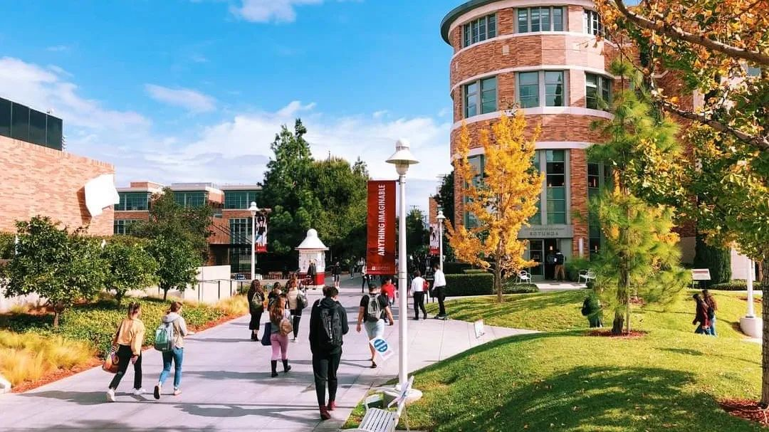 年艾美奖提名记录;乔·沃茨执导的《蜘蛛侠》系列电影票房已超过10