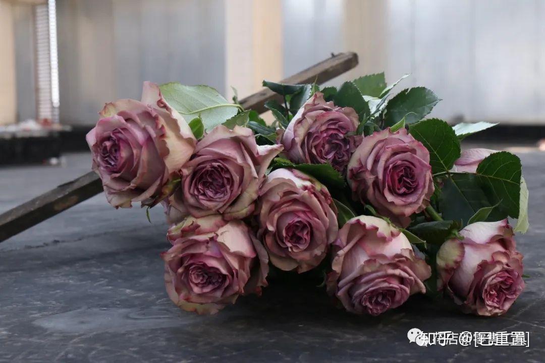 钟情于复古色调的你绝对不能错过这几款玫瑰