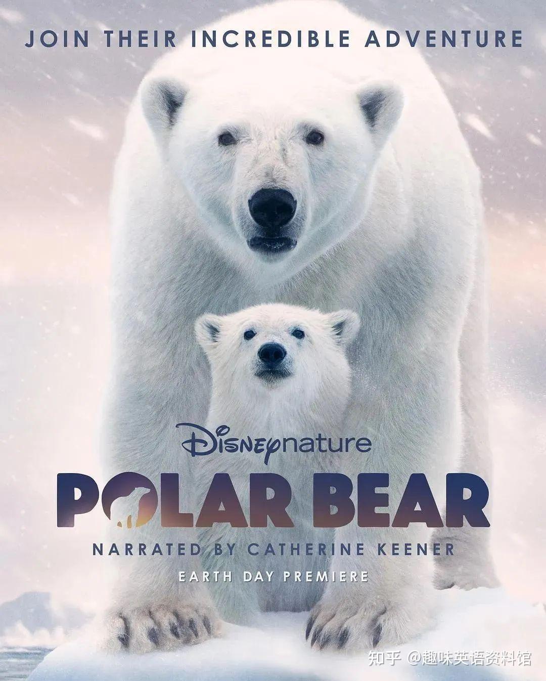 迪士尼高分纪录片——北极熊 polar bear (2022),一同感受奇妙历险