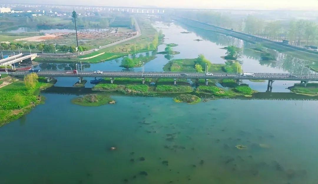 鲤鱼泛滥无人机航拍玛瑙河发现大量鲤鱼抱团甩籽