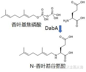 海藻的神经毒素软骨藻酸与海人藻酸的来源 - 知乎