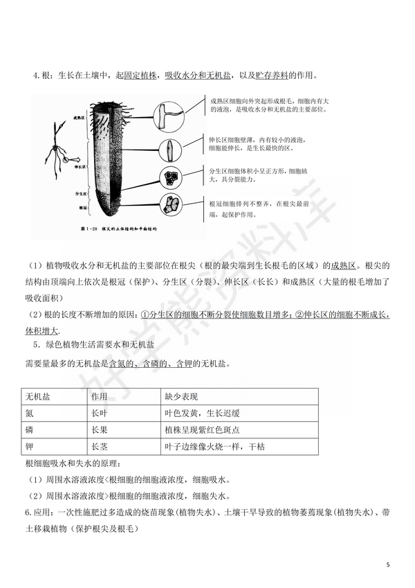 暑假预习 苏科版初一七年级上册生物知识点总结 知乎