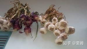 有哪些比较冷门的外国文化习俗? 11 v2 2c37ec0dea7937040a13cb7f0bbe3b08 720w