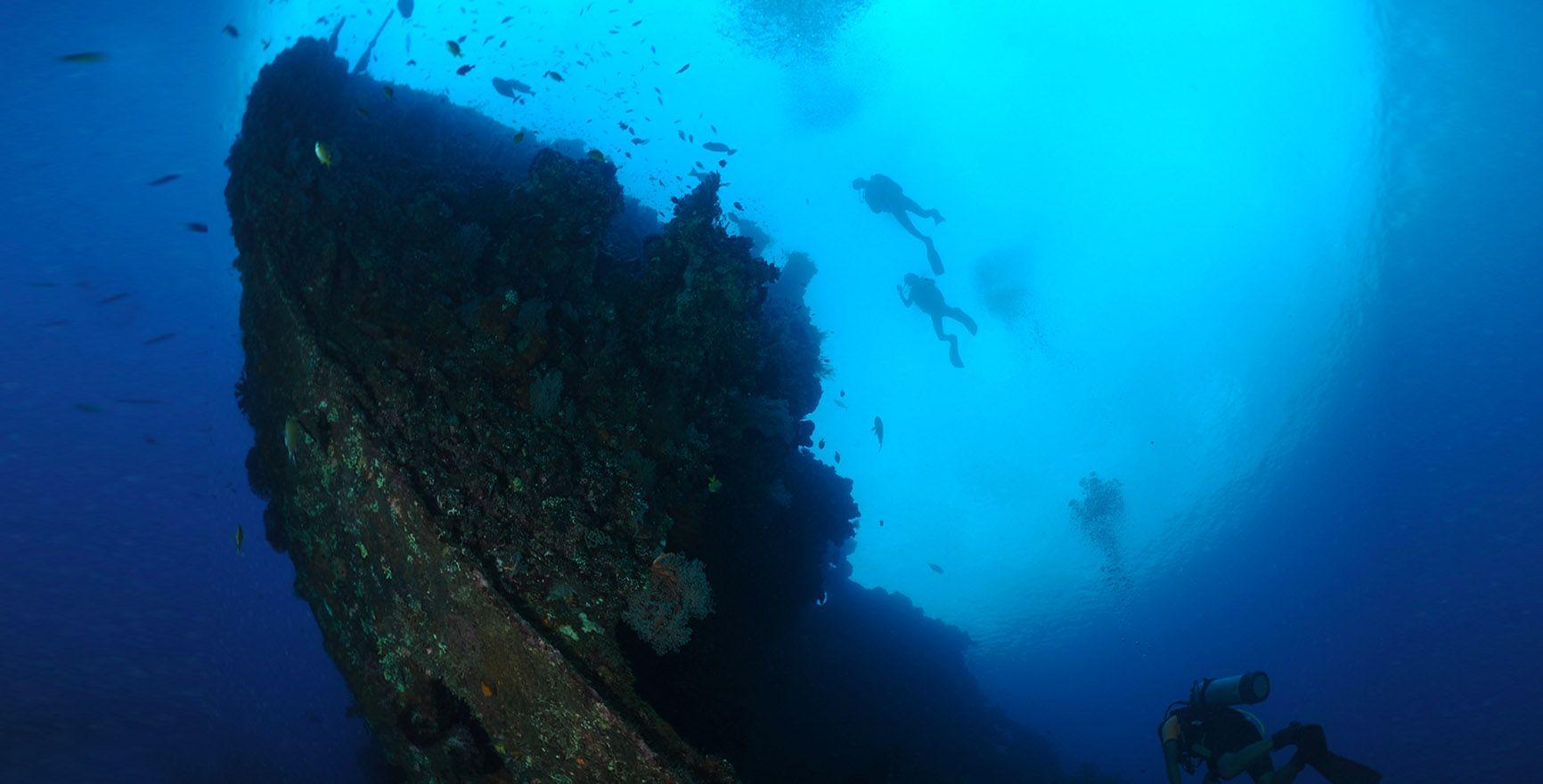 巴厘岛潜水指南：PADI水肺潜水和浮潜点，从初学者到潜水高手