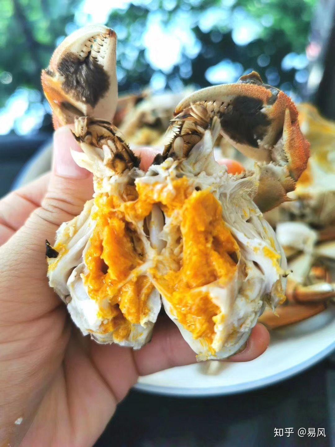 蟹束阁大闸蟹怎么样