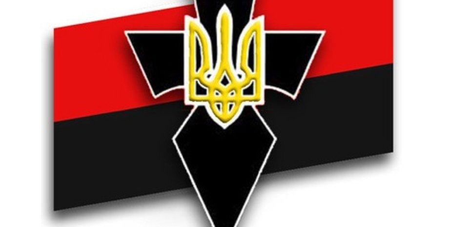 乌克兰政府军纳粹旗图片