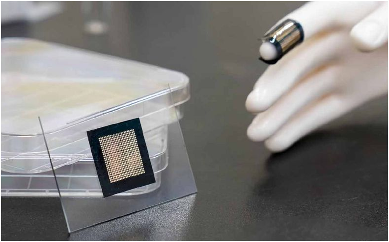 位置编码尖峰光谱新型电子皮肤构建高灵敏度的人工触觉系统