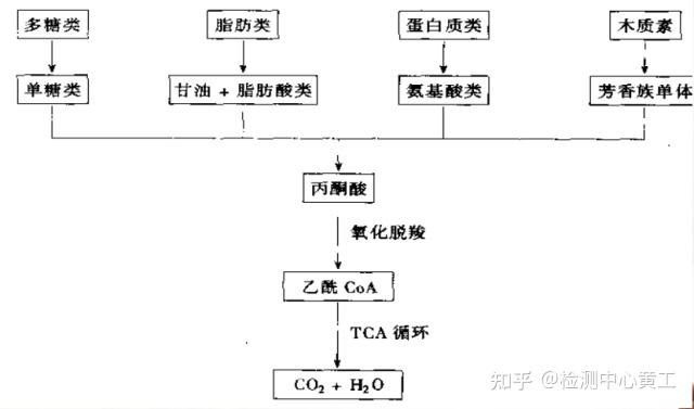 12种活性污泥处理工艺 - 知乎