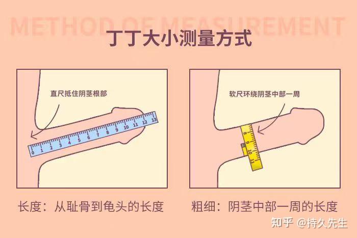 全国男性丁丁图片