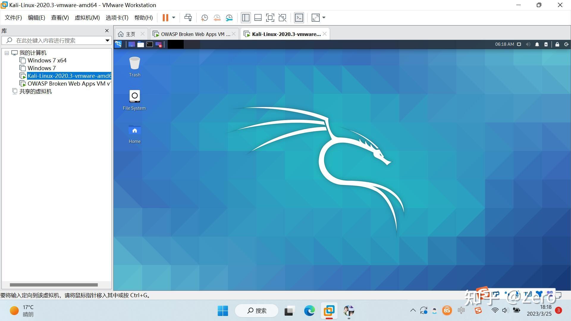 vmware workstation device credential guard 
