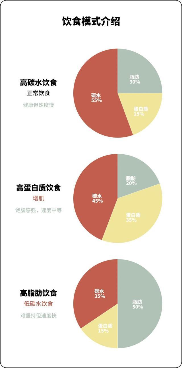 高碳水or高蛋白or高脂肪