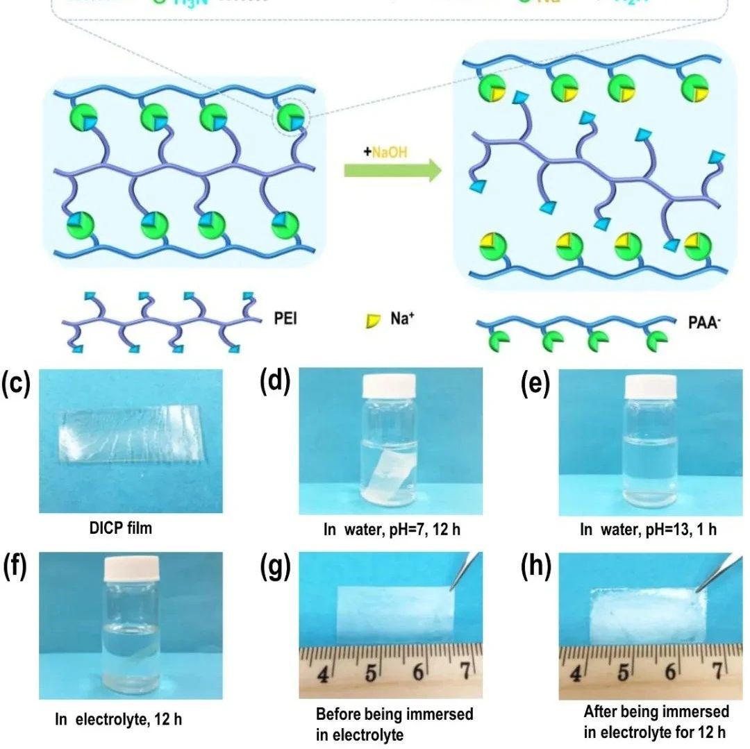 美国劳伦斯伯克利国家实验室liugao团队afm可逆交联聚合物用于高性能