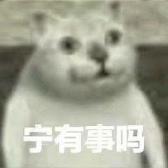 Mur猫表情包合集6 - 知乎