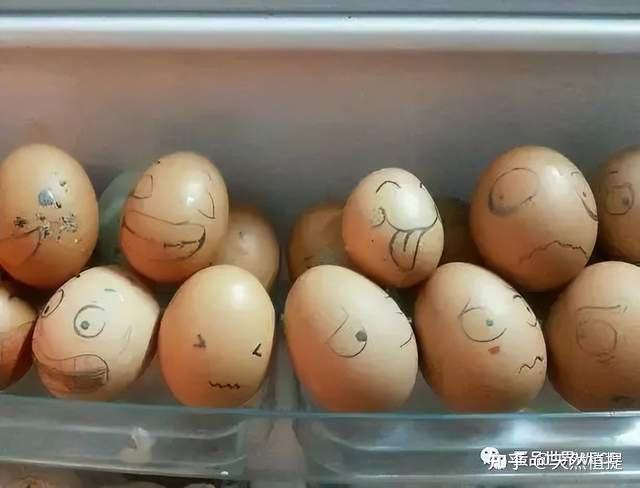 一枚好蛋变坏蛋的历程