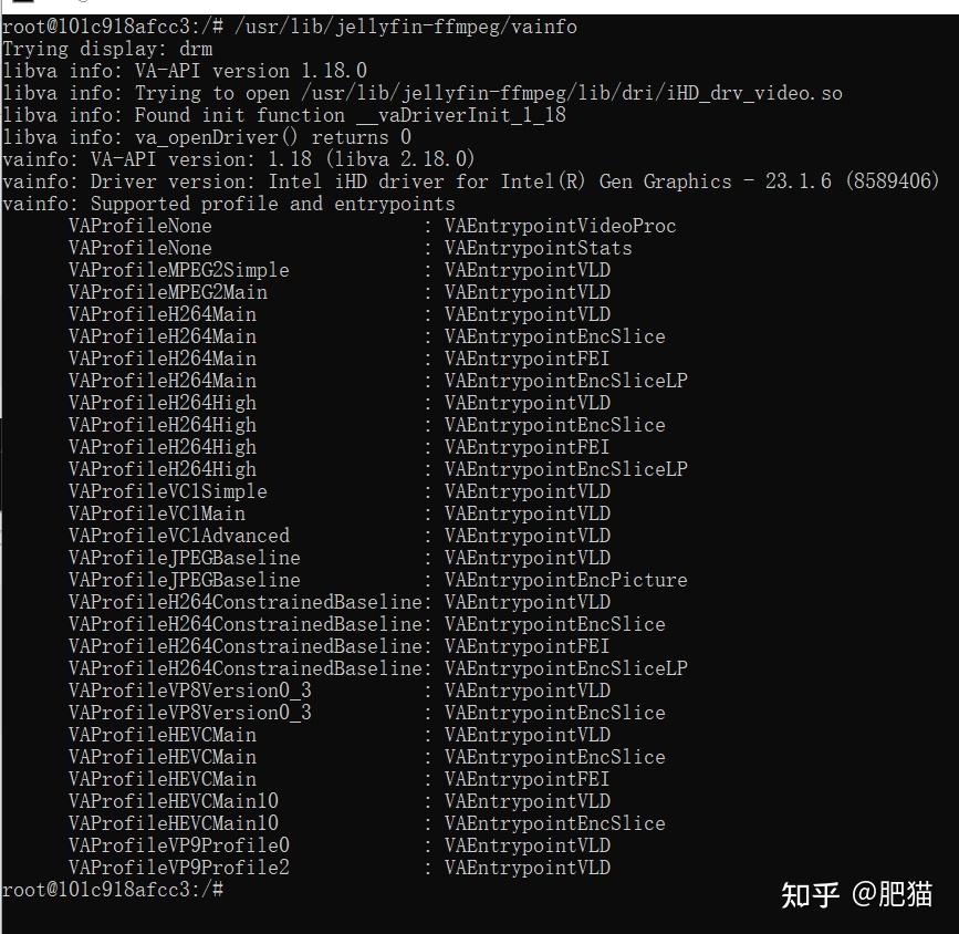 在Docker下安装Jellyfin并正确开启硬件解码 知乎