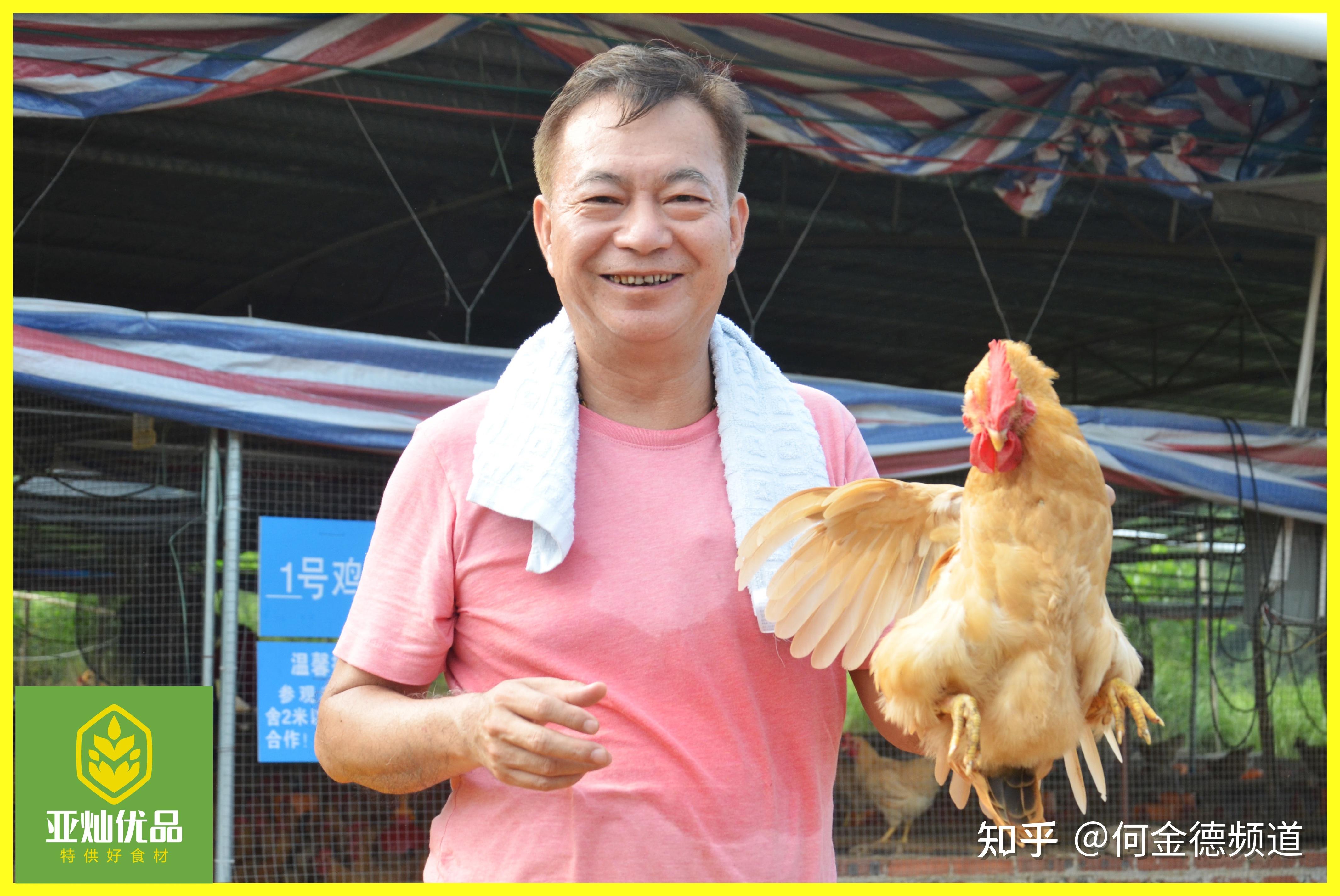 香港影视名星亚灿与农业产业的一份未了缘