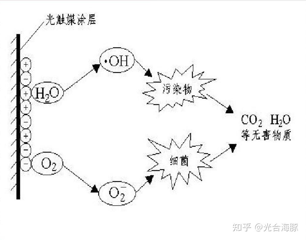 要回答这个问题,我们就需要了解光触媒的反应原理:光触媒在光的照射下