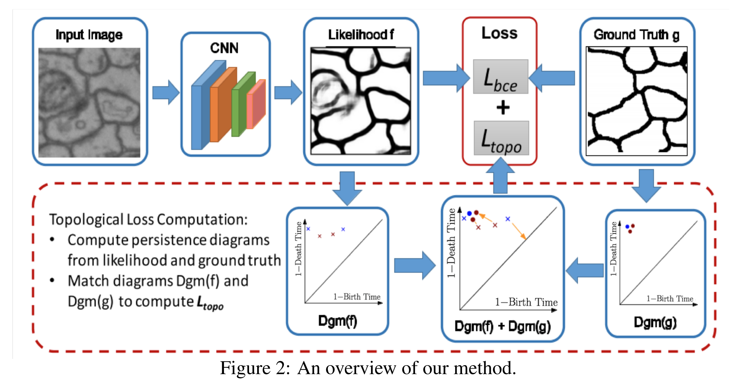 [论文学习] NeurIPS2019-Topology-Preserving Deep Image Segmentation 保持拓扑特征的 ...