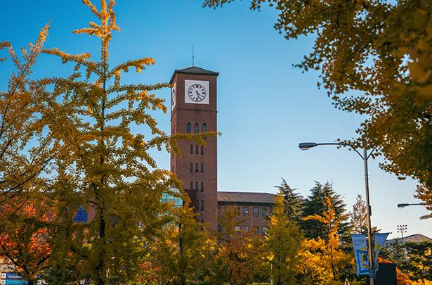 全州大学语学院的一切