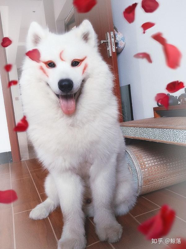 有哪些让你惊艳的cosplay?