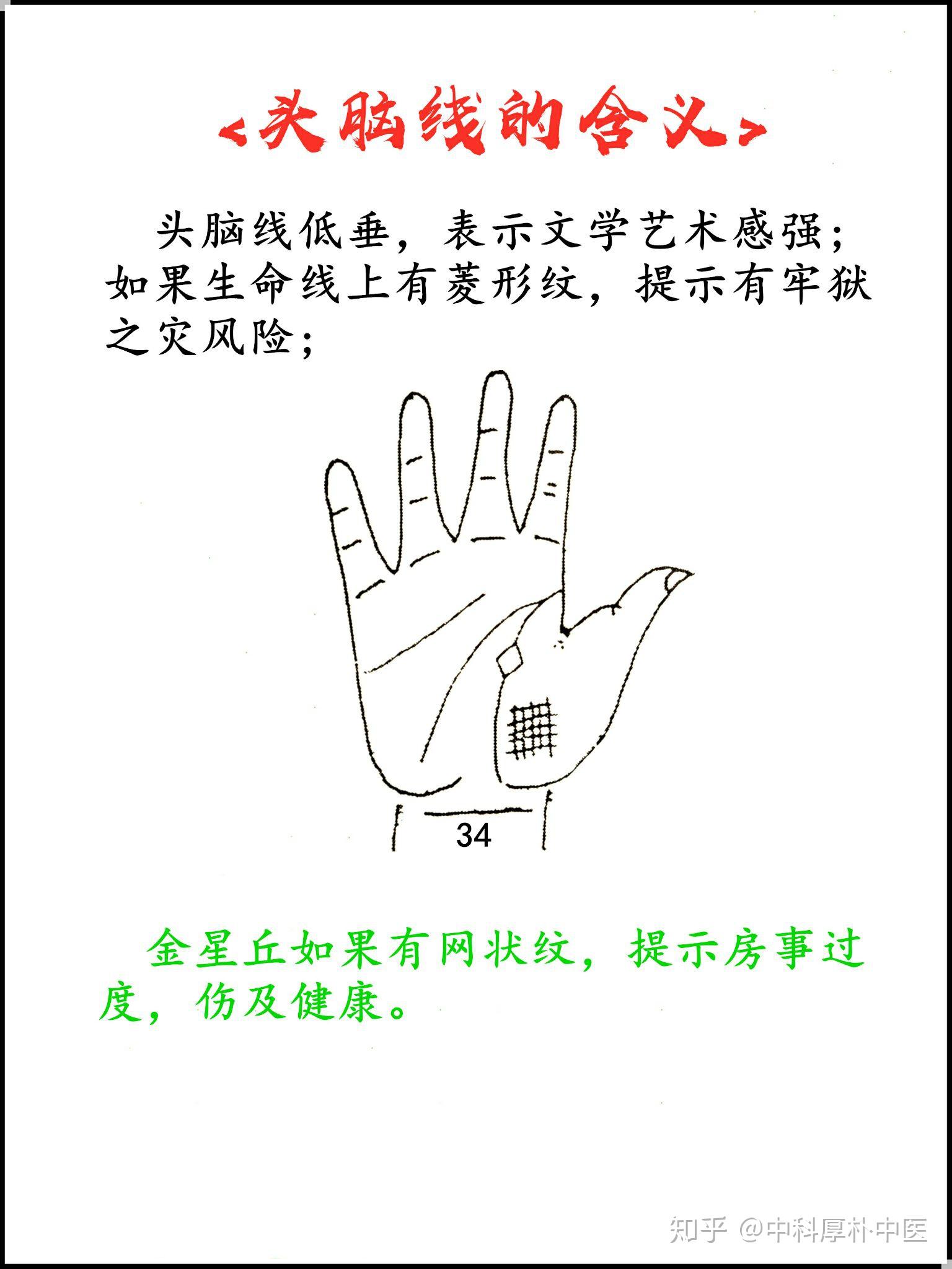 手诊图头脑线连载十六