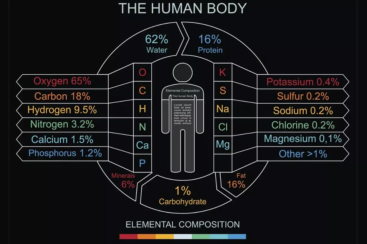 6-essential-nutrients-and-their-functions-nutrition-nutrient-healthy