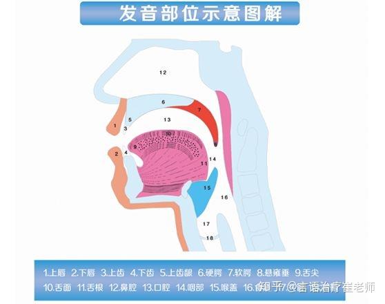 03发音的训练