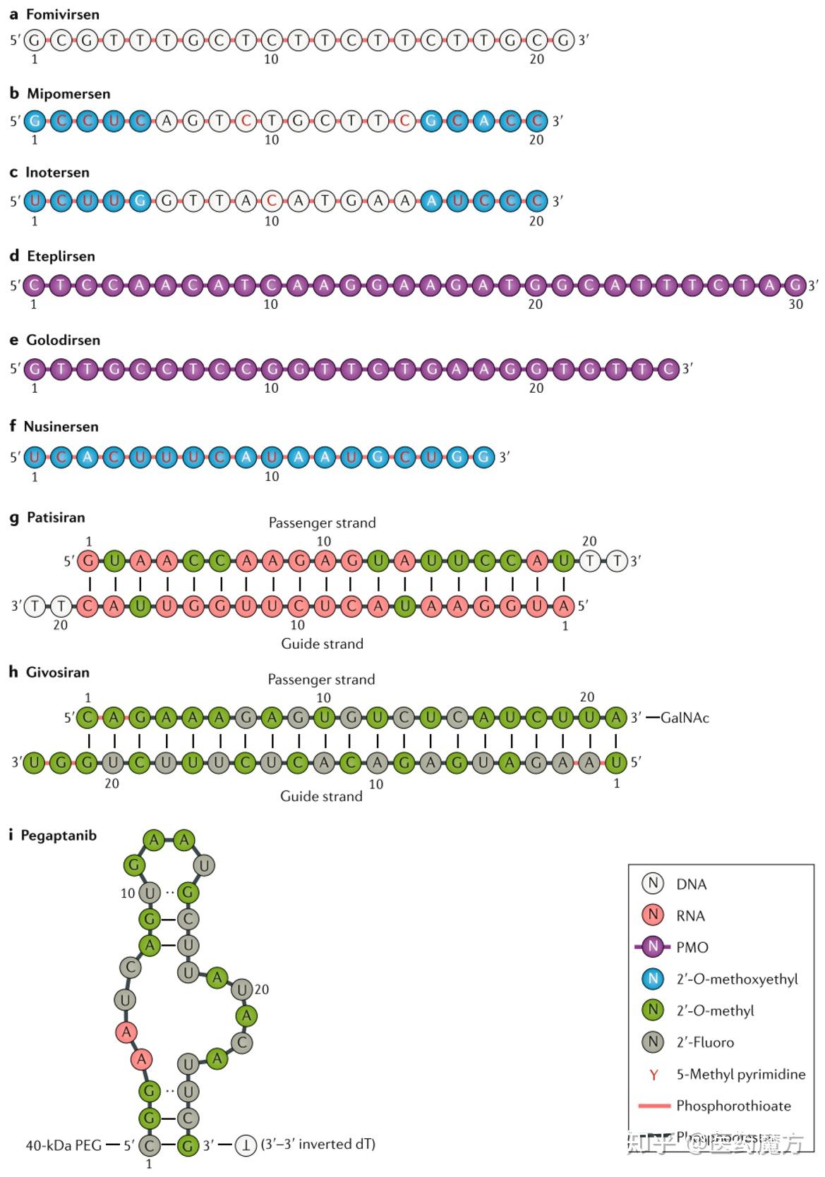 nature综述寡核苷酸疗法未来可期