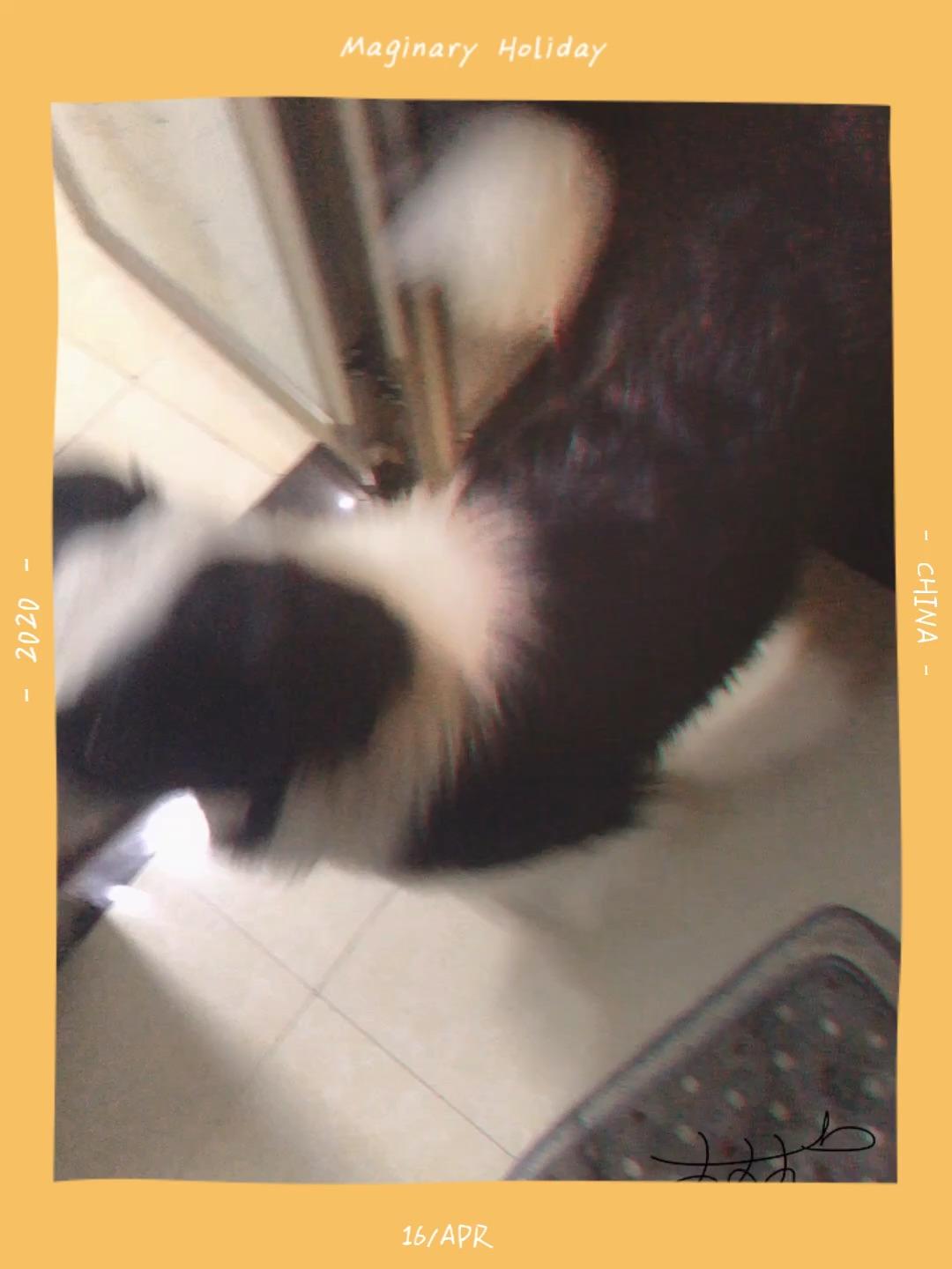 v2-2d385b4e5c9fffd8cf1ea8f61dd7b6bb.jpg