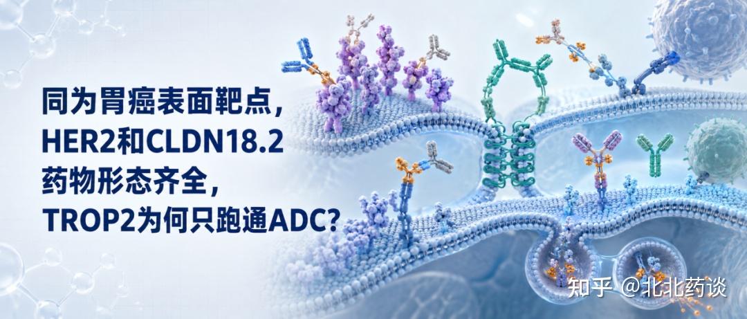 同为胃癌表面靶点，HER2和CLDN18.2药物形态齐全，TROP2为何只跑通ADC？ - 知乎