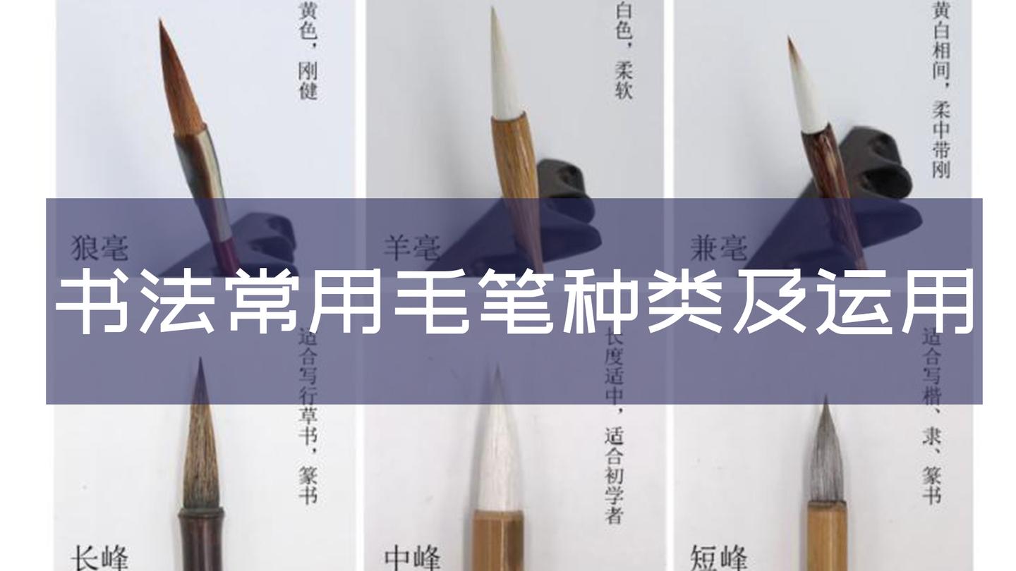文/苓木  编辑/燕子  图源/又画   很多宝宝对毛笔的种类容易混淆