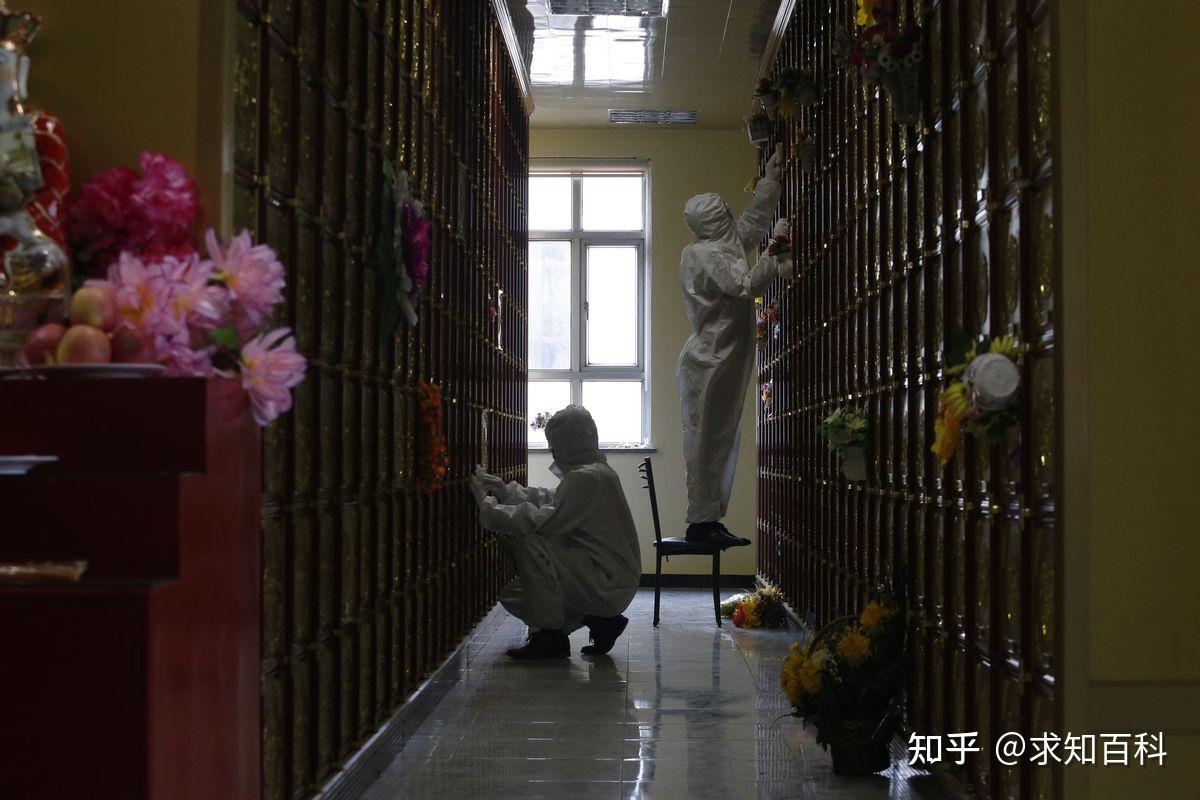 火化后的骨灰,到底剩些什么?埋葬多年后又会变成什么样? - 知乎