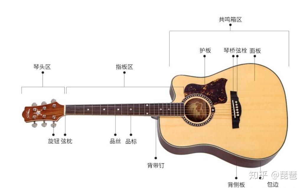 吉他共鸣箱结构介绍图图片