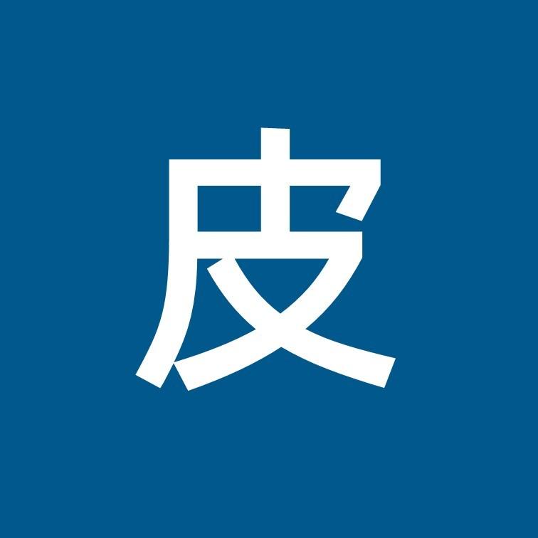 皮皮的科技范