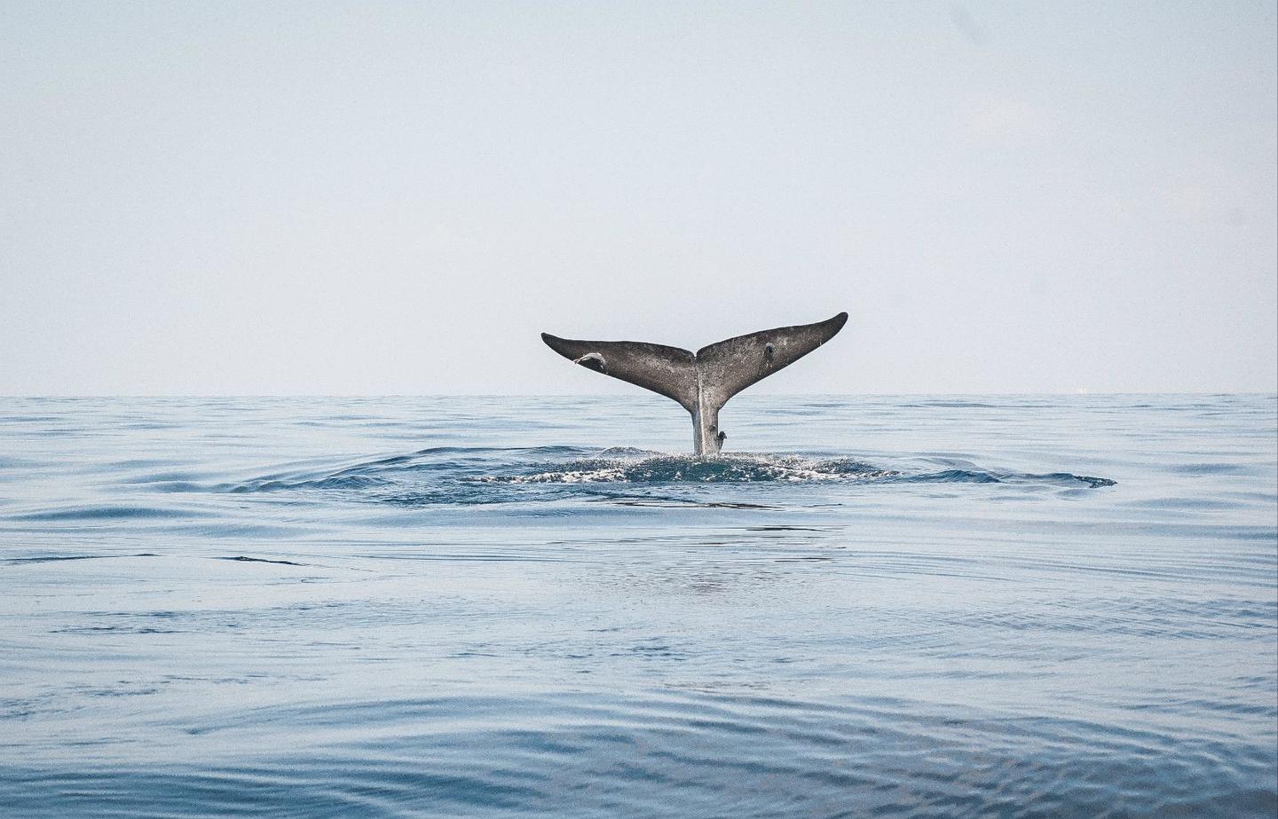 最全2017广州大学学科英语考研经验初试+复试