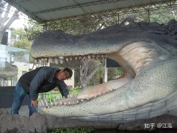 图注:长着巨大脑袋的普鲁斯鳄,图片来自网络