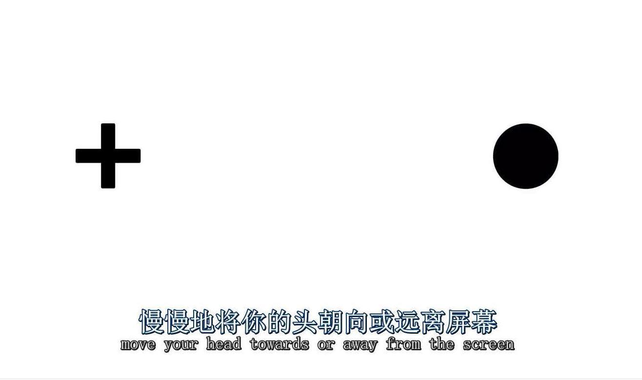 生理67盲点之寻马略特的实验