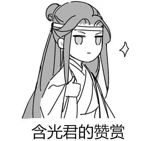 优秀的魔道祖师表情包