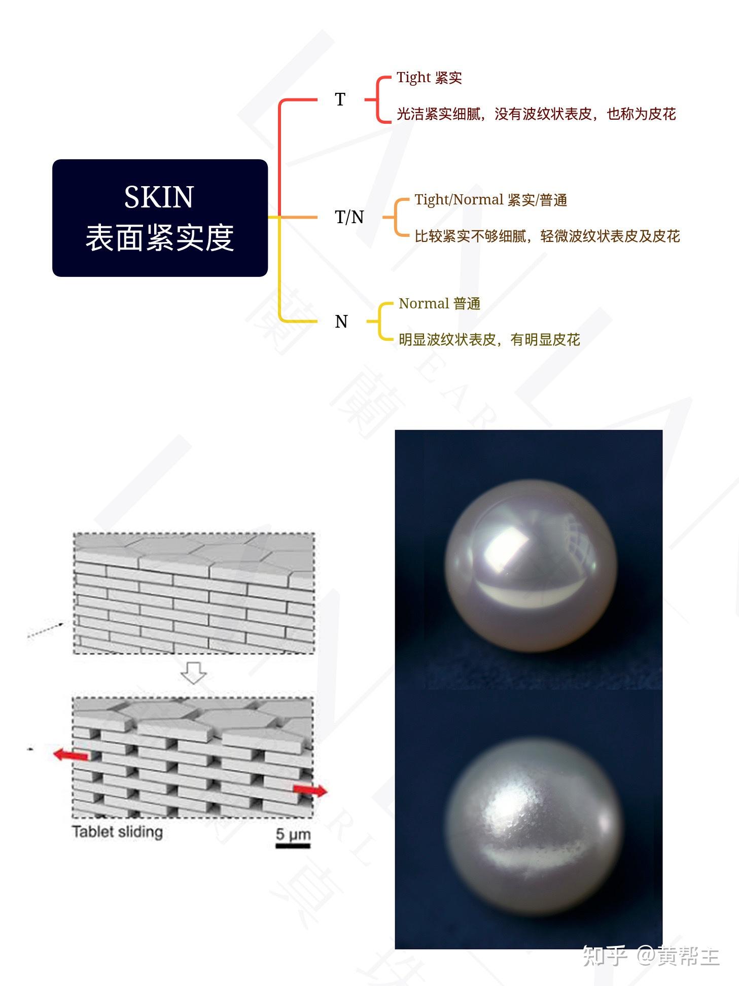手把手带你看懂澳白等级参数(P家拍卖会篇) - 知乎