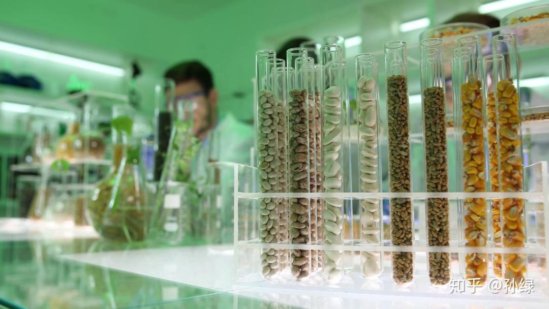 非洲适合发展农业吗?