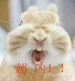 v2-2ddea3cc874385377a7a39f2bfc1b5cf_b.jpg